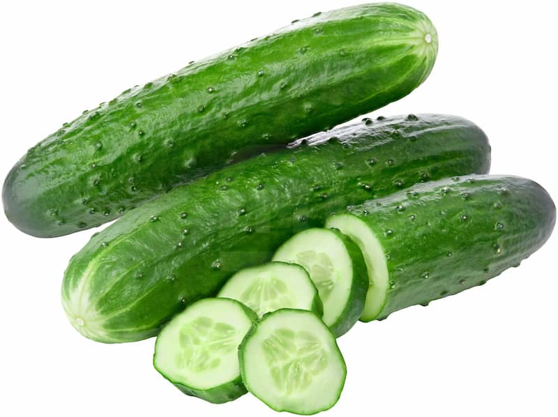تصویر 4 از خیار قلمی کوچک برداشت شده از مزارع مرغوب